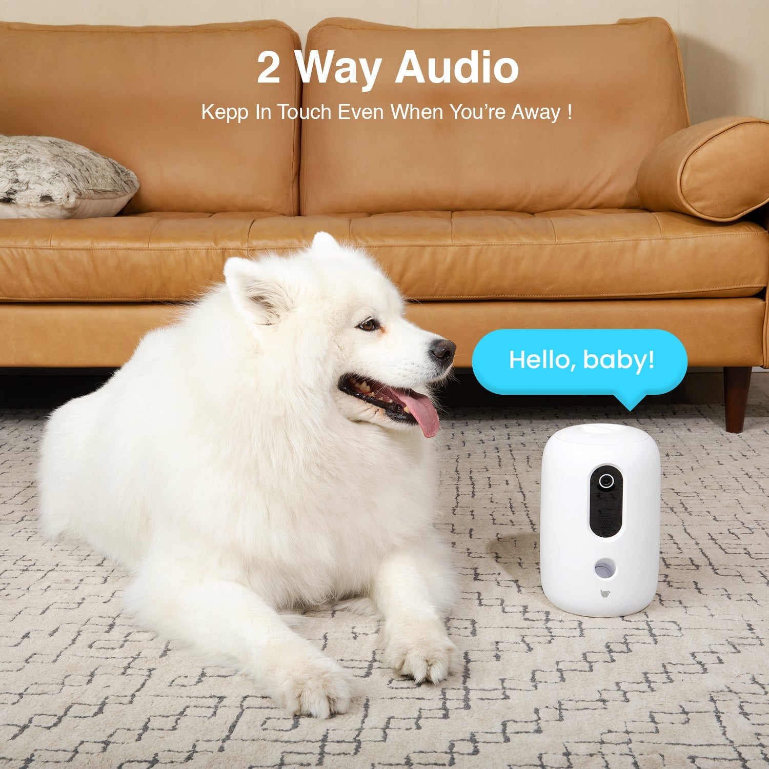 Purechew Smart Automated Pet Treat Dispenser with HD Camera & App Control