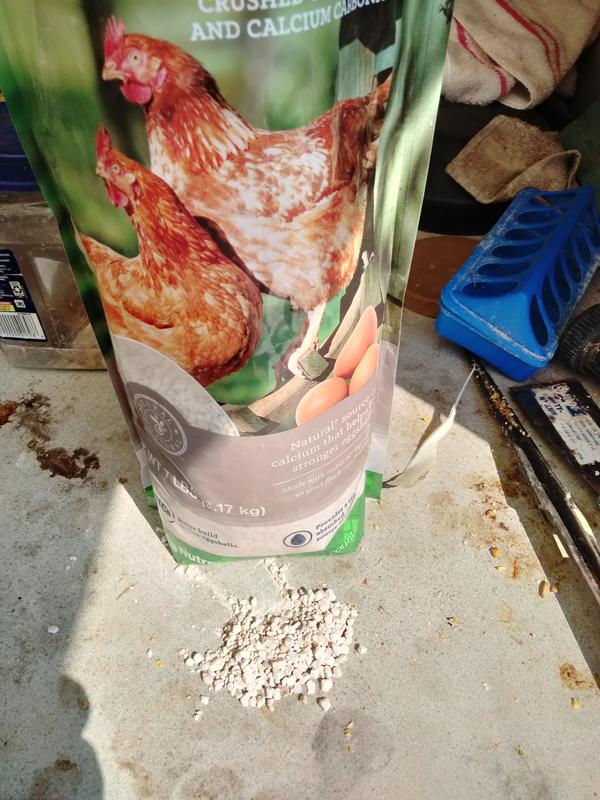 Nutrena NatureWise Oyster Shell Poultry Calcium for Strong Eggshells 7-lb Bag