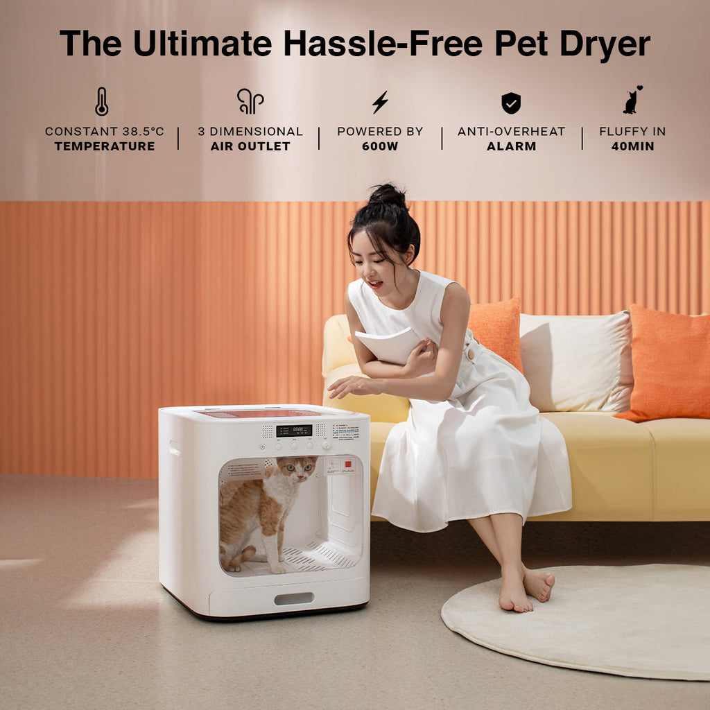 Cleanbreeze Smart Pet Dryer: Gentle, Temperature-Controlled Grooming for Cats and Dogs