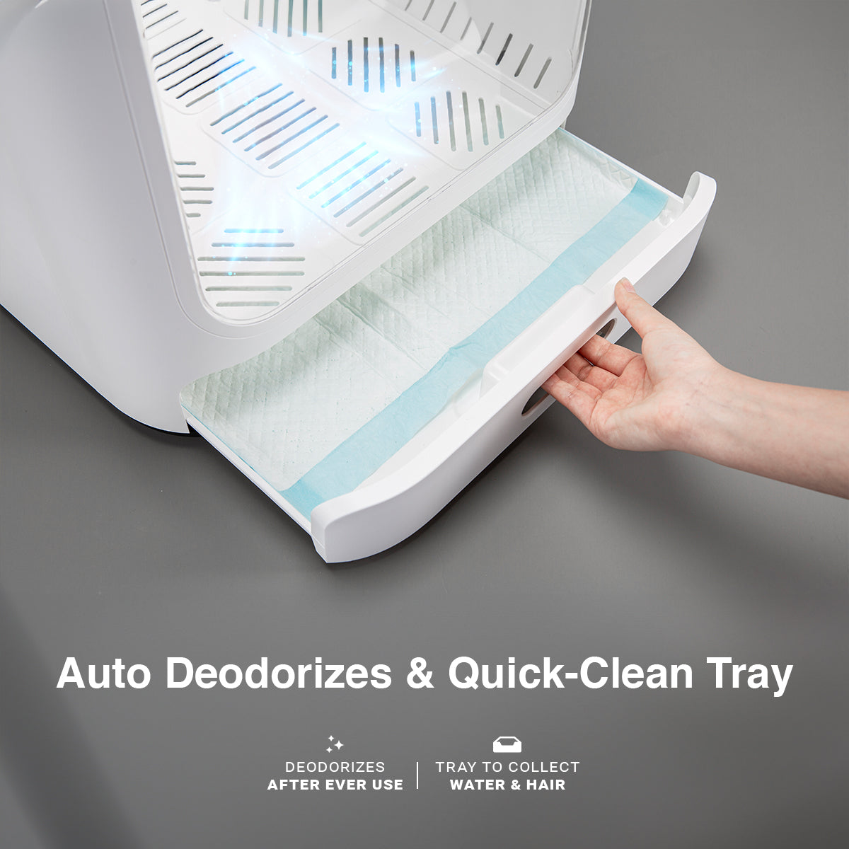 Cleanbreeze Smart Pet Dryer: Gentle, Temperature-Controlled Grooming for Cats and Dogs