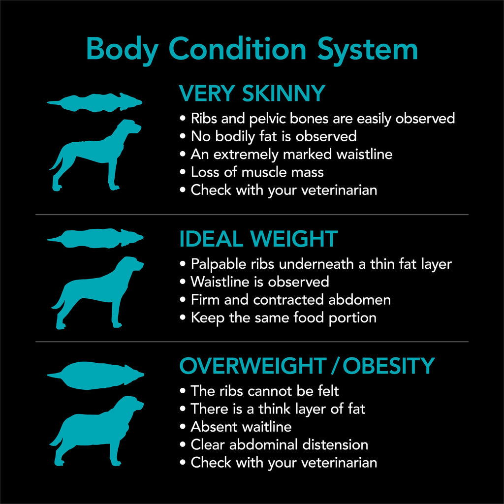 Supercoat Adult Sensitive Dry Dog Food with Real Fish, 33.5lb Bag