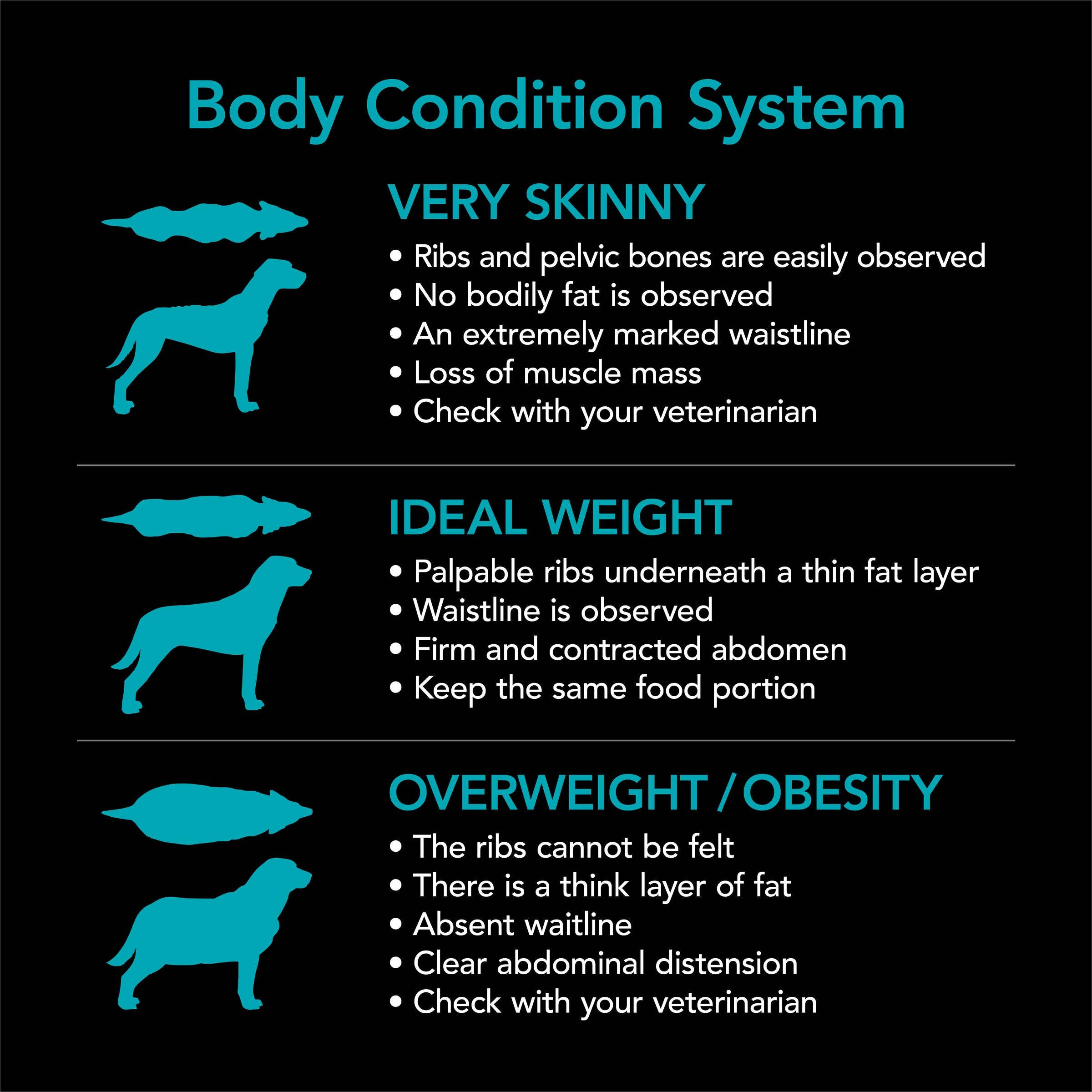 Supercoat Adult Sensitive Dry Dog Food with Real Fish, 33.5lb Bag