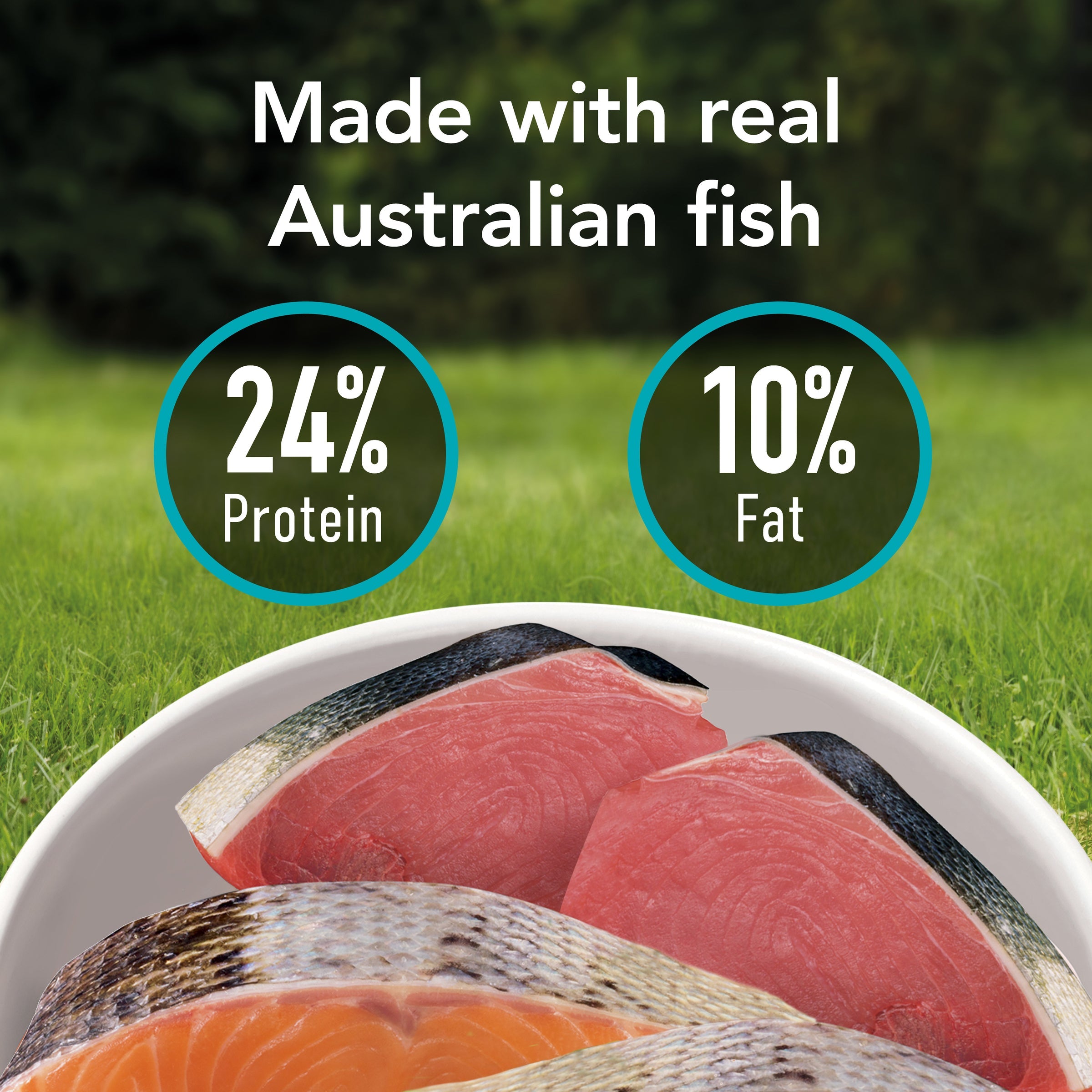 Supercoat Adult Sensitive Dry Dog Food with Real Fish, 33.5lb Bag