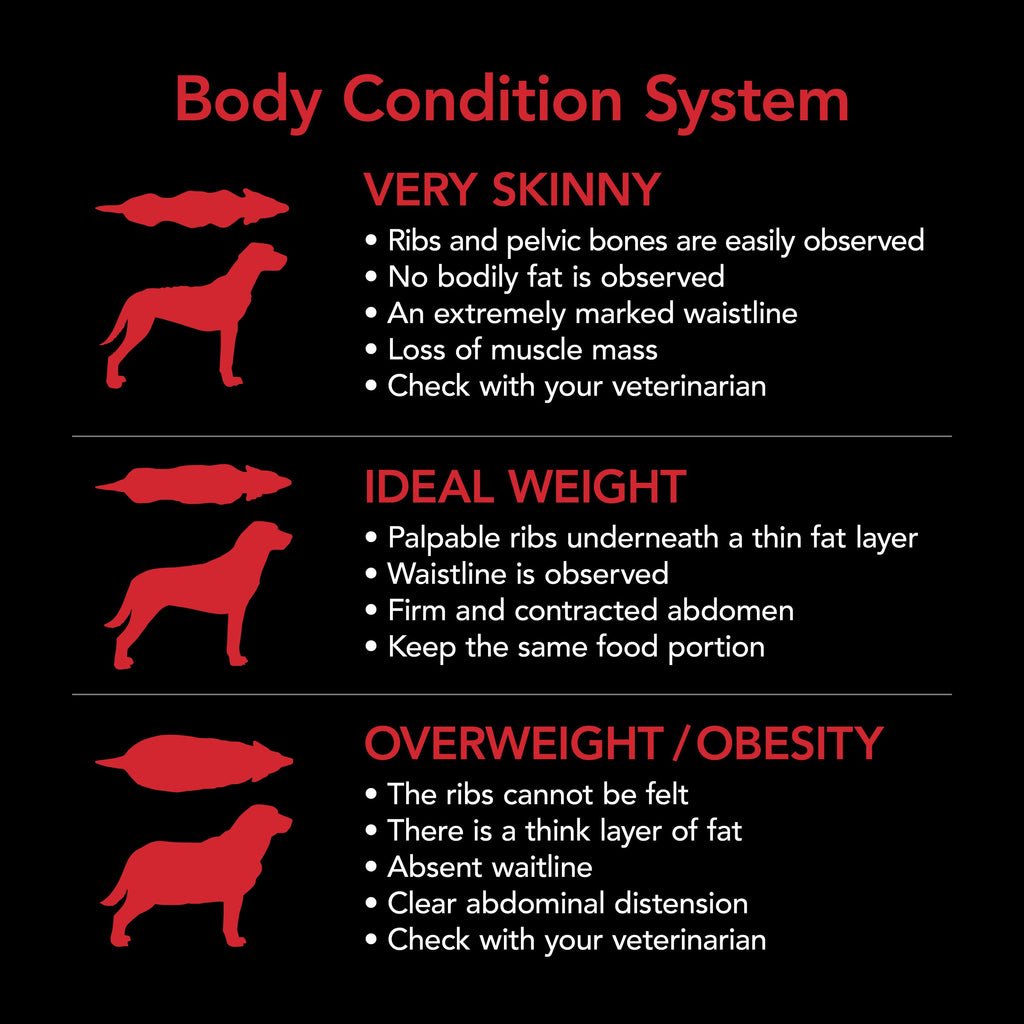 Supercoat Adult Dog Dry Food: Real Beef, Complete Balanced Nutrition, 40.13lb