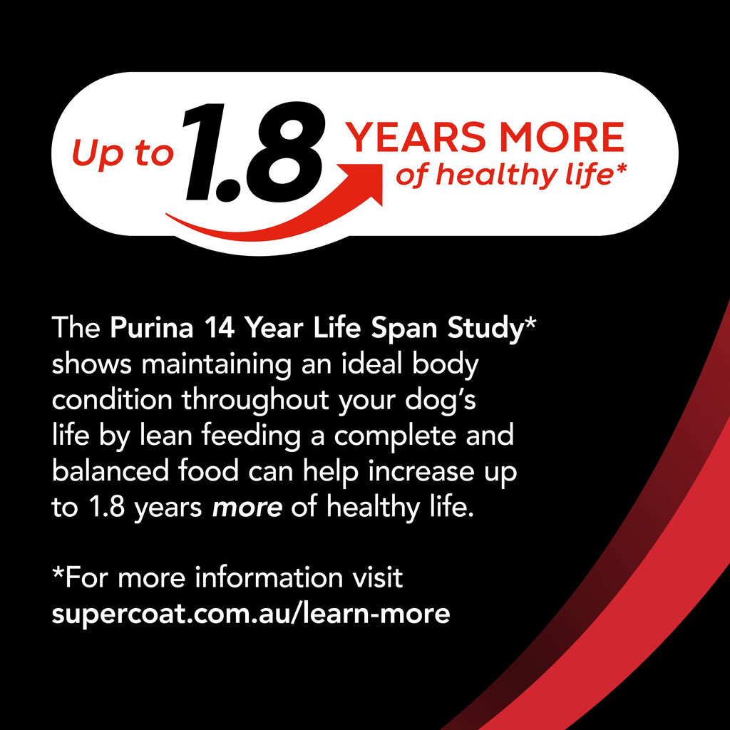 Supercoat Adult Dog Dry Food: Real Beef, Complete Balanced Nutrition, 40.13lb