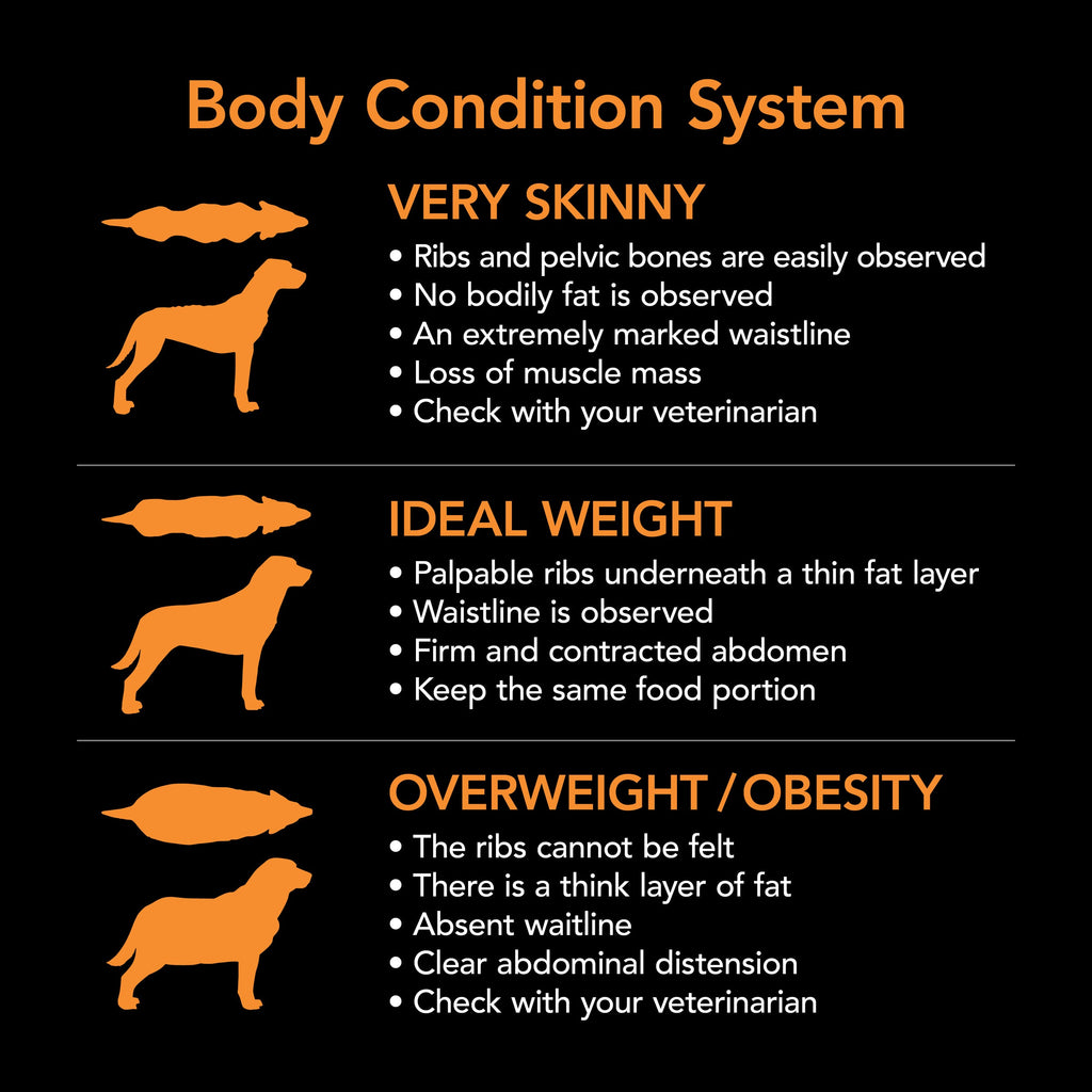 Supercoat Large Breed Puppy Chicken Dry Dog Food for Optimal Healthy Growth