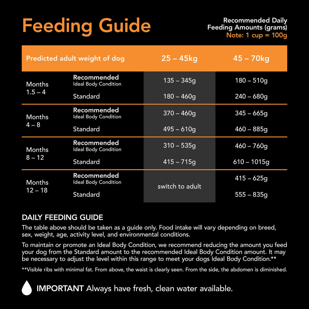 Supercoat Large Breed Puppy Chicken Dry Dog Food for Optimal Healthy Growth