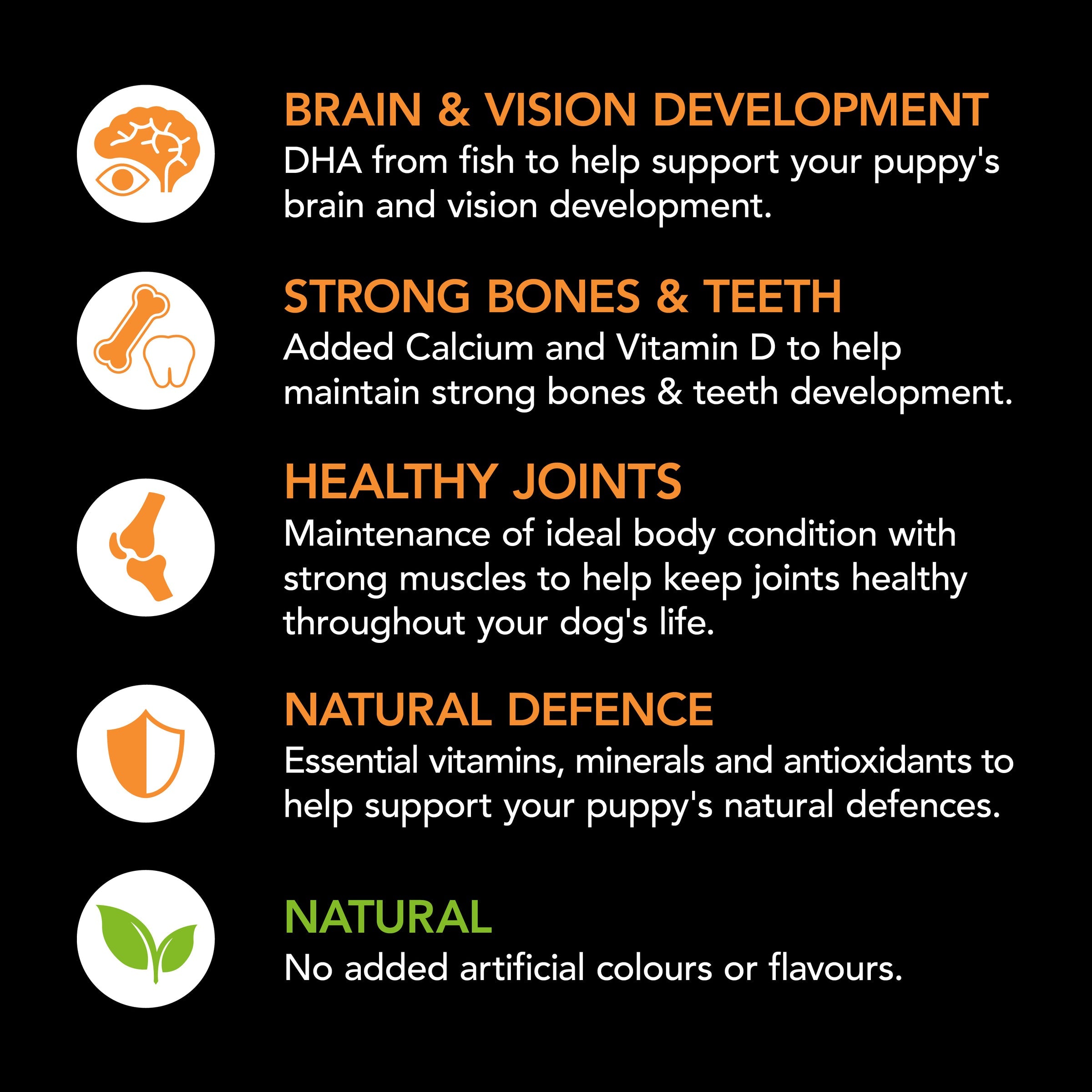 Supercoat Large Breed Puppy Chicken Dry Dog Food for Optimal Healthy Growth