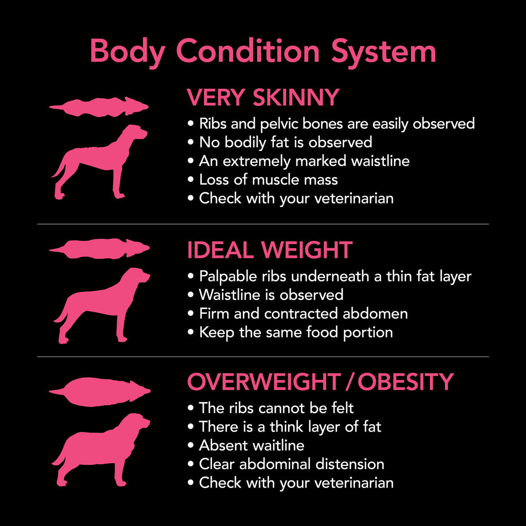 Supercoat Puppy Chicken Dry Dog Food 18kg for Optimal Growth & Health