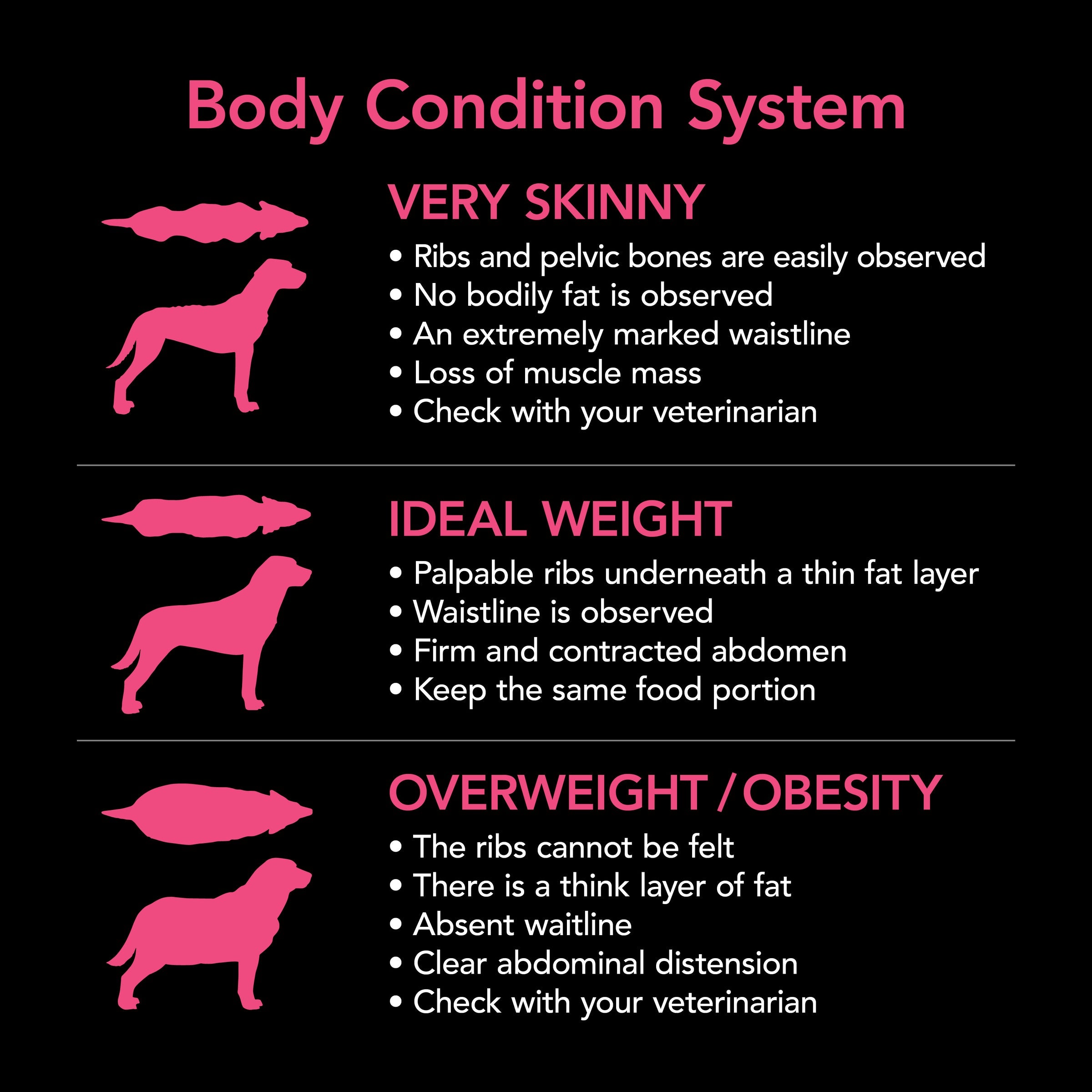 Supercoat Puppy Chicken Dry Dog Food 18kg for Optimal Growth & Health