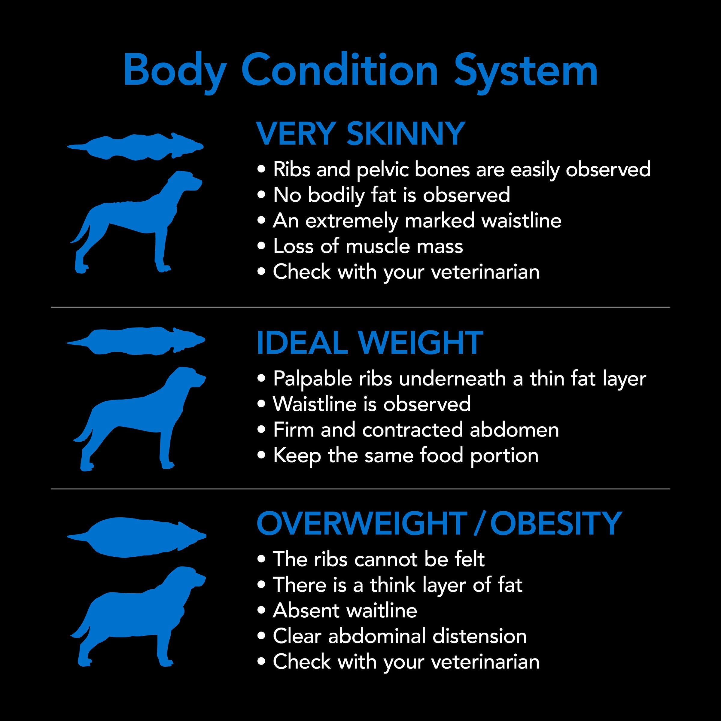 Supercoat SMARTBLEND Senior Dry Dog Food, Fish Recipe, Brain & Vision Support