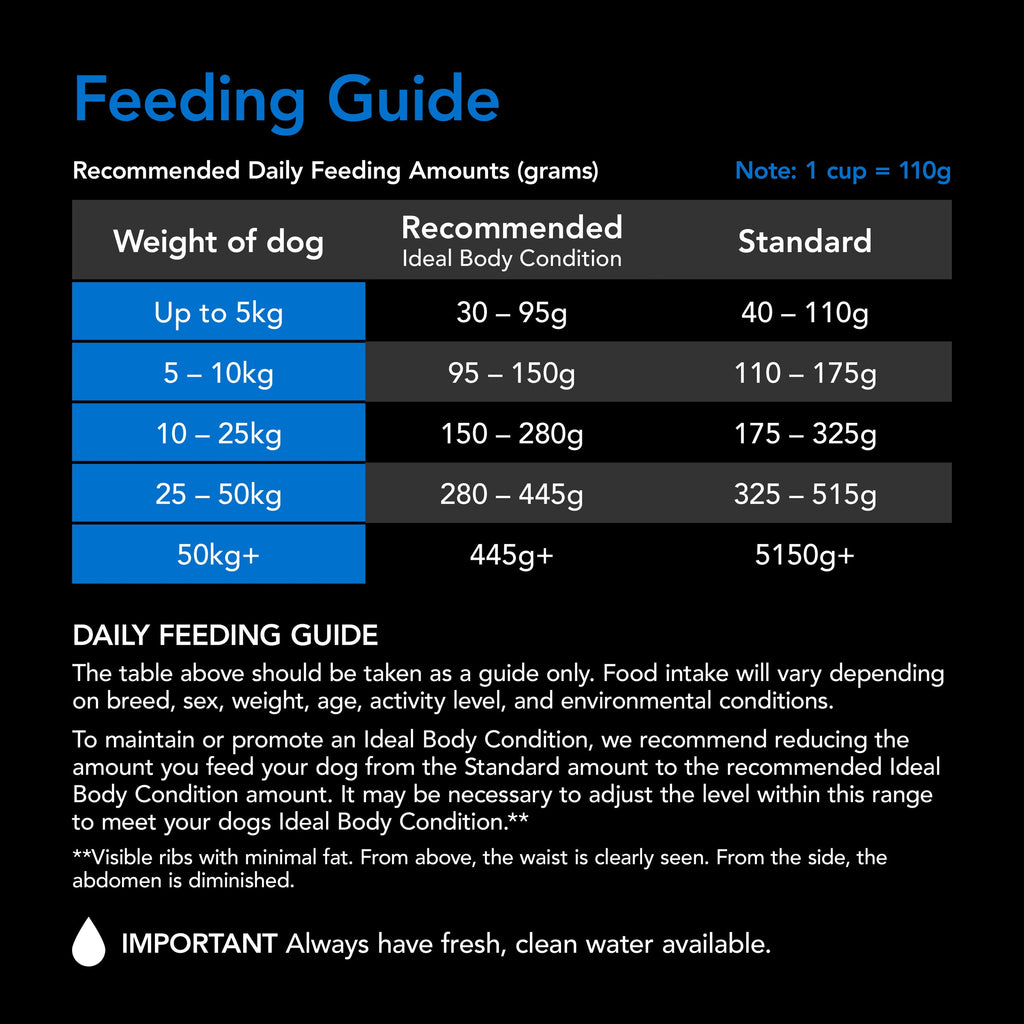 Supercoat SMARTBLEND Senior Dry Dog Food, Fish Recipe, Brain & Vision Support