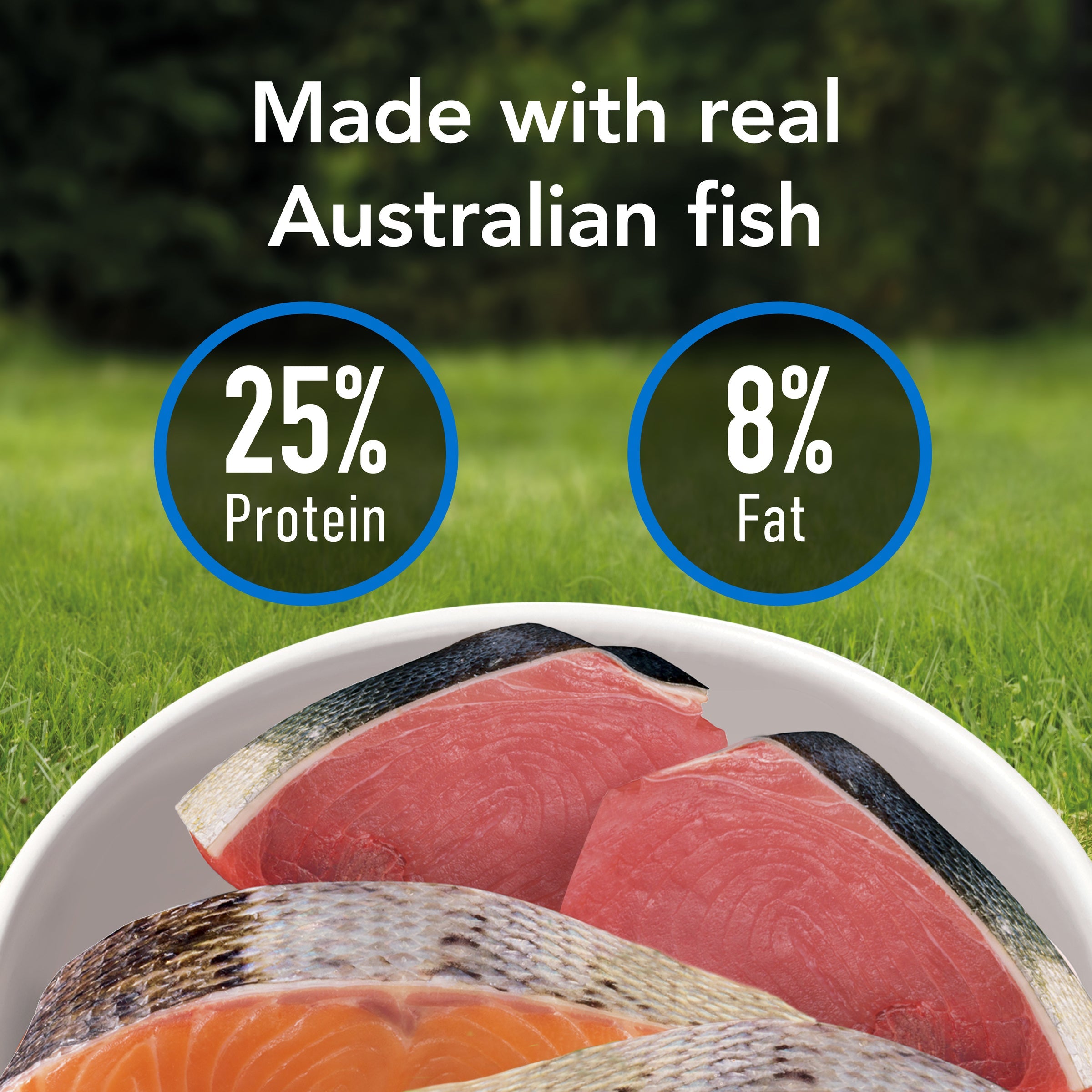 Supercoat SMARTBLEND Senior Dry Dog Food, Fish Recipe, Brain & Vision Support