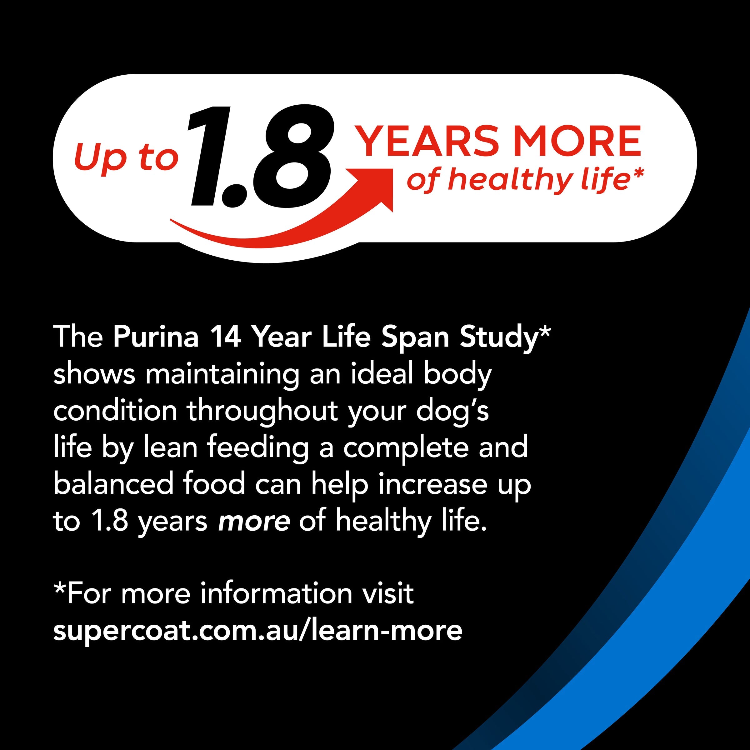 Supercoat SMARTBLEND Senior Dry Dog Food, Fish Recipe, Brain & Vision Support