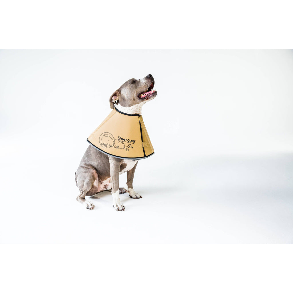 All Four Paws XL Soft Comfy Cone: Gentle Pet Recovery E-Collar for Healing