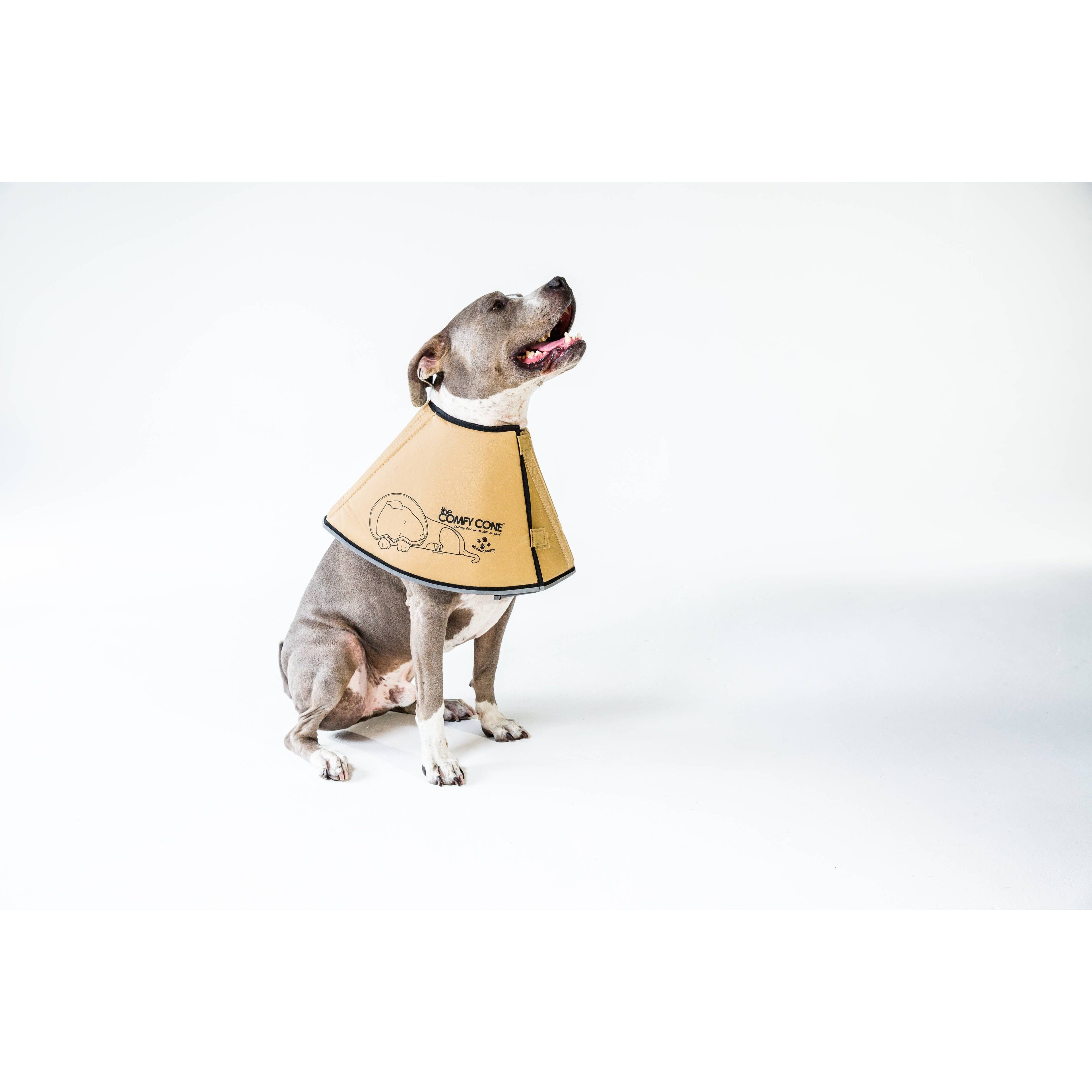 All Four Paws XL Soft Comfy Cone: Gentle Pet Recovery E-Collar for Healing