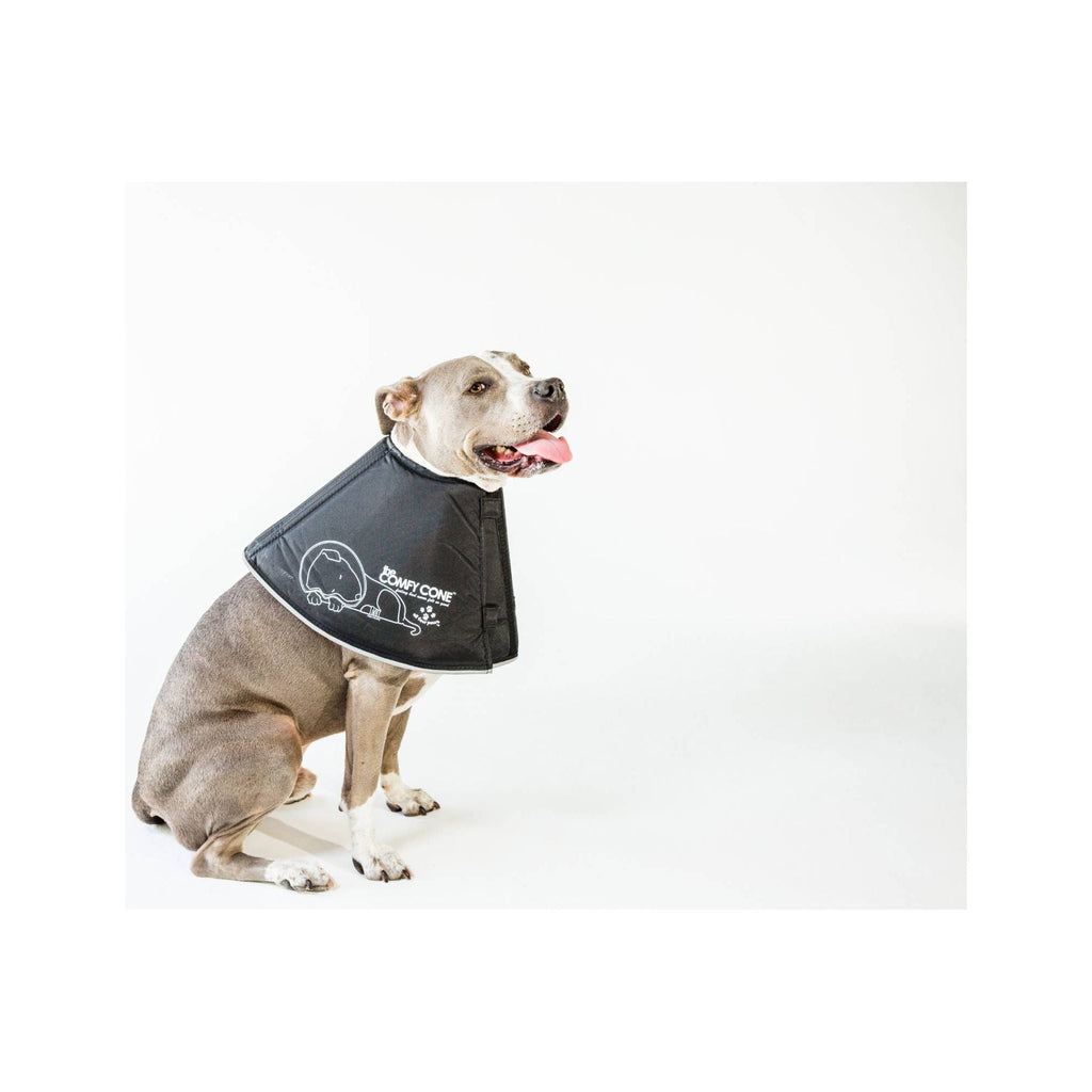 All Four Paws XL Soft Comfy Cone: Gentle Pet Recovery E-Collar for Healing