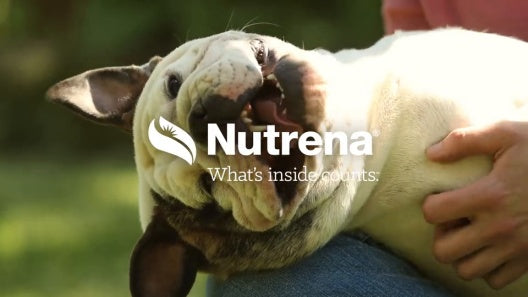 Nutrena Hi Pro 12% Protein Scratch Grains & Pellets Chicken Feed 50lb Bag