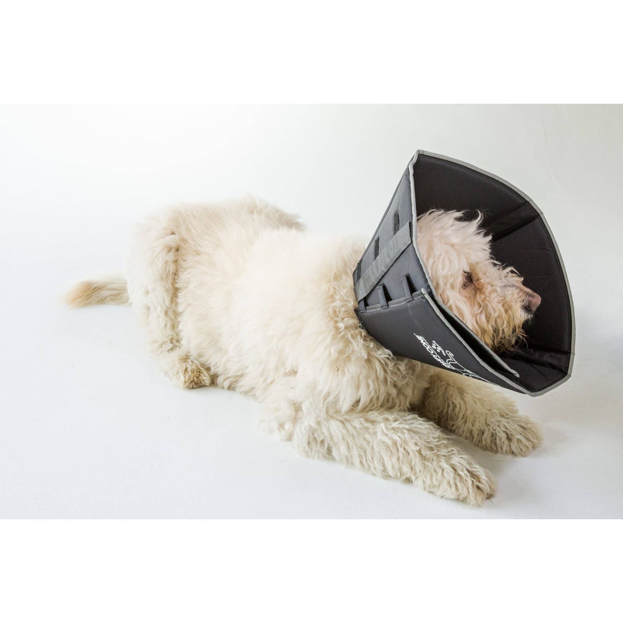 All Four Paws XL Soft Comfy Cone: Gentle Pet Recovery E-Collar for Healing