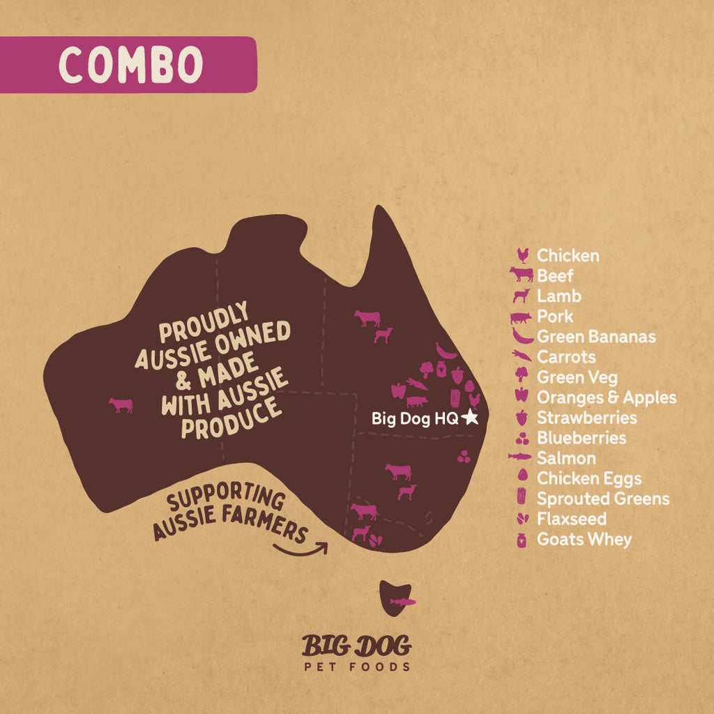 Big Dog Multi-Protein Raw Frozen Dog Food Patties for Optimal Canine Health