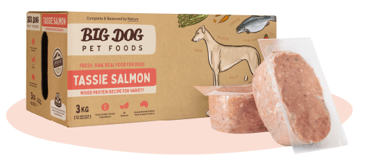 Big Dog Raw Tasmanian Salmon Recipe for Dogs: Omega-3 Rich & Balanced