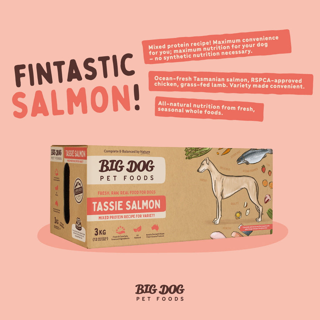 Big Dog Raw Tasmanian Salmon Recipe for Dogs: Omega-3 Rich & Balanced