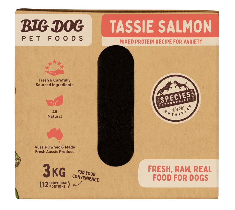 Big Dog Raw Tasmanian Salmon Recipe for Dogs: Omega-3 Rich & Balanced