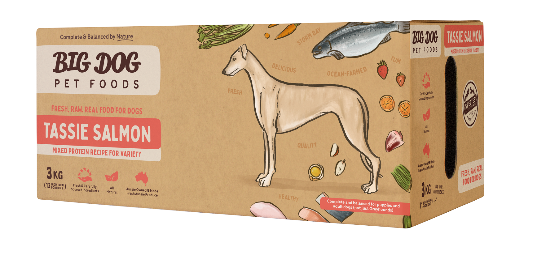 Big Dog Raw Tasmanian Salmon Recipe for Dogs: Omega-3 Rich & Balanced