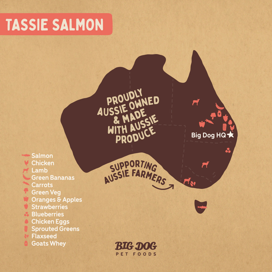 Big Dog Raw Tasmanian Salmon Recipe for Dogs: Omega-3 Rich & Balanced