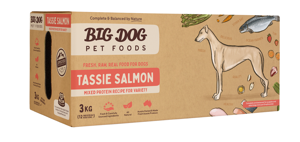 Big Dog Raw Tasmanian Salmon Recipe for Dogs: Omega-3 Rich & Balanced
