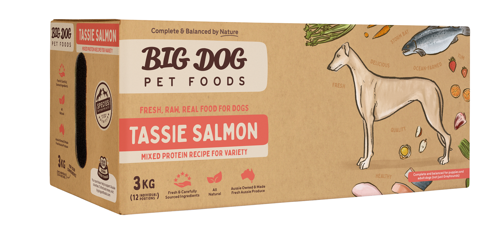 Big Dog Raw Tasmanian Salmon Recipe for Dogs: Omega-3 Rich & Balanced