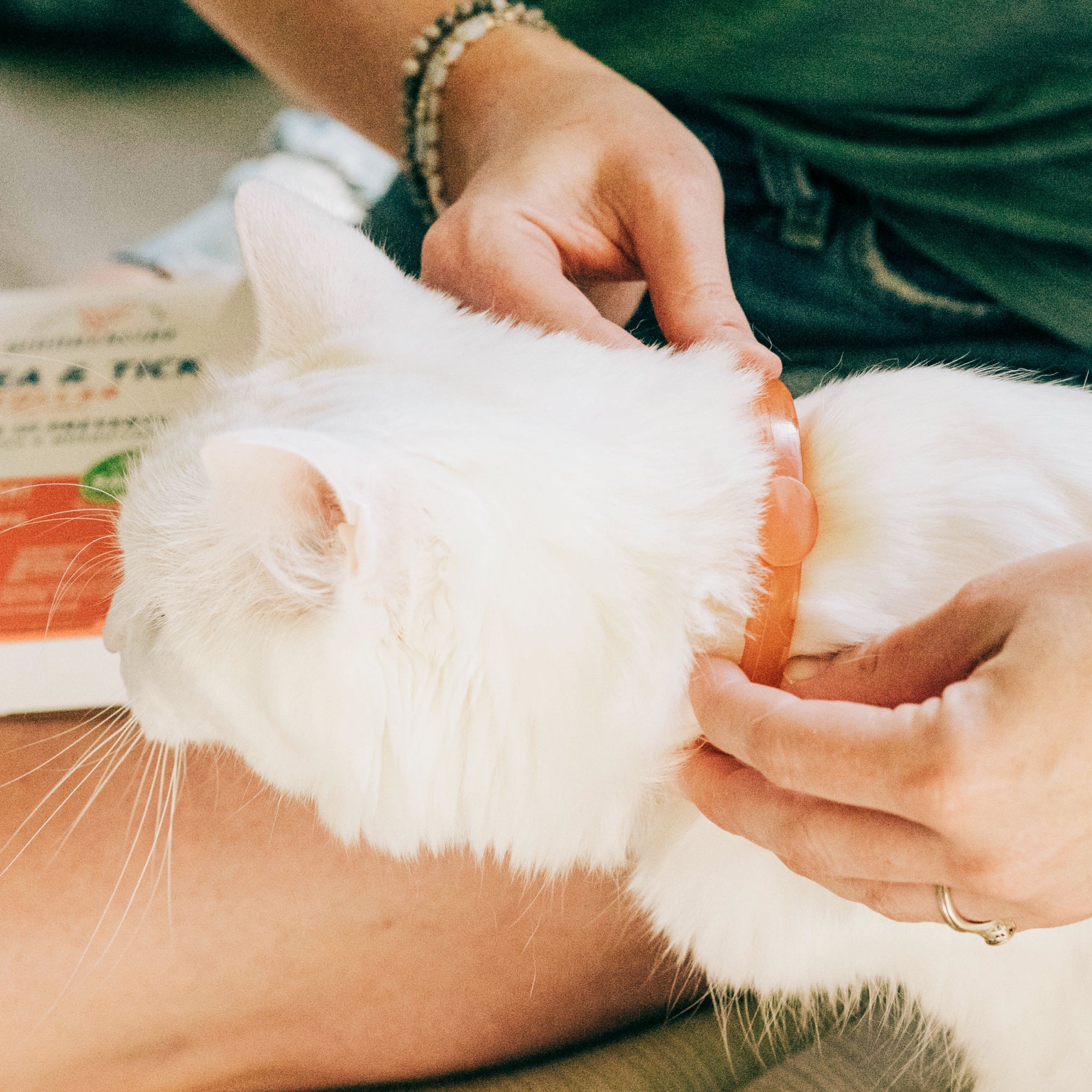 Wondercide Plant-Powered Flea & Tick Collar for Dogs & Cats - 4-Month Protection