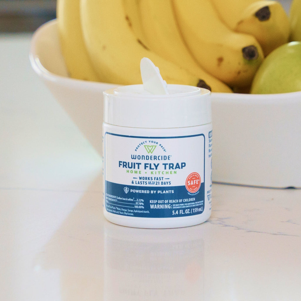 Wondercide Plant-Powered Fruit Fly Trap 2-Pack for Home & Kitchen