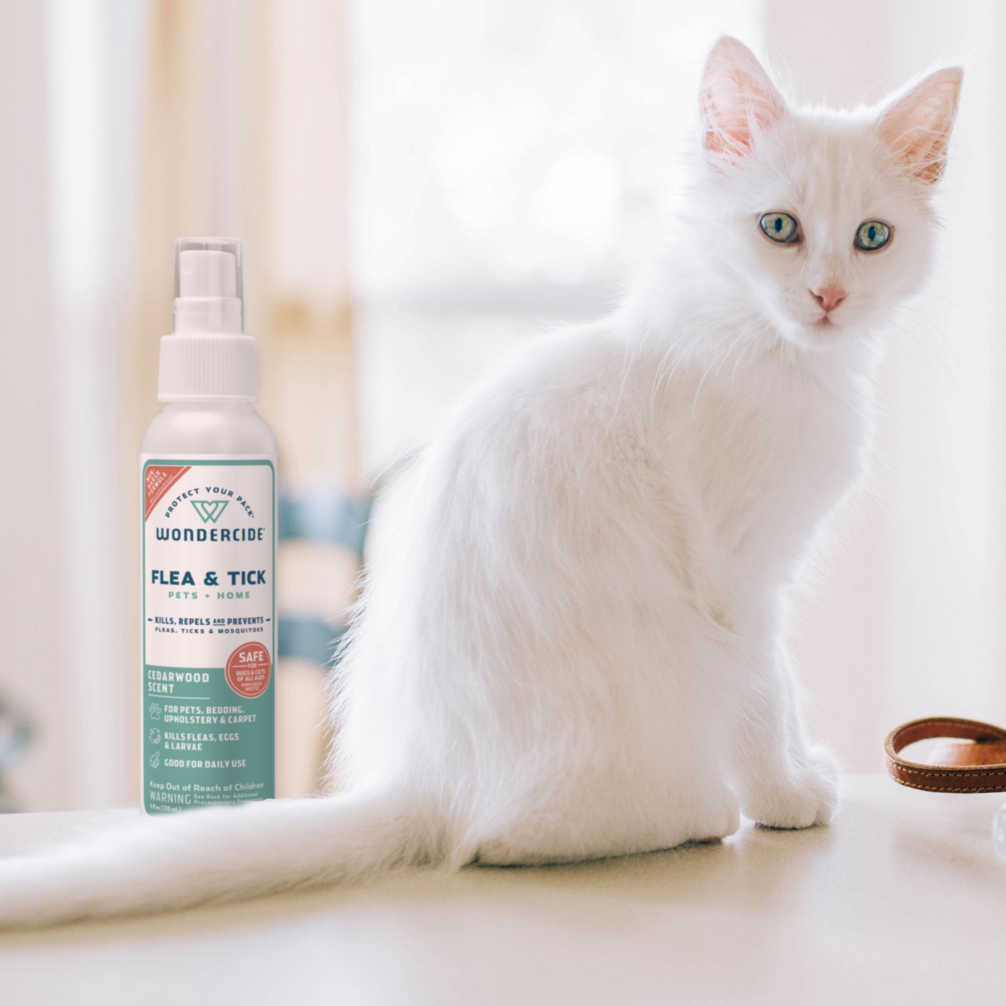 Plant-Powered Cedarwood Flea & Tick Spray for Pets & Home
