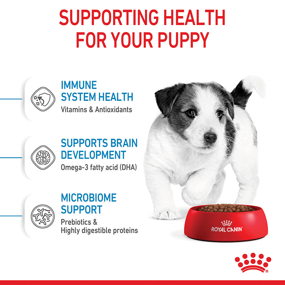 Royal Canin Mini Puppy Dry Food: Immune Support, Digestive Aid, Small Kibble