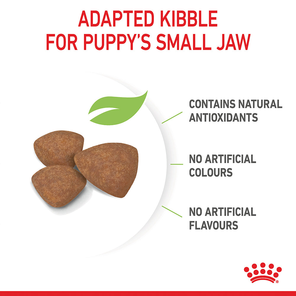 Royal Canin Mini Puppy Dry Food: Immune Support, Digestive Aid, Small Kibble