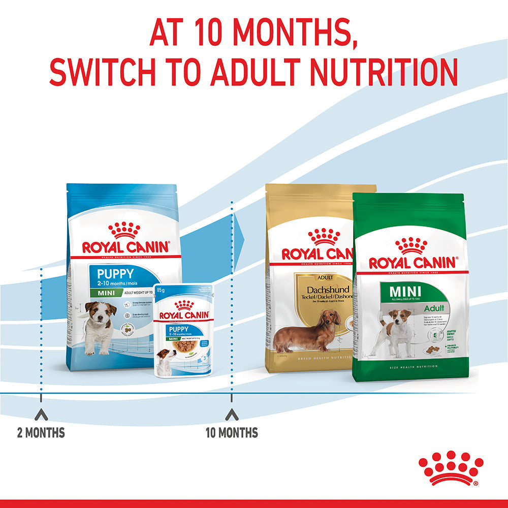 Royal Canin Mini Puppy Dry Food: Immune Support, Digestive Aid, Small Kibble