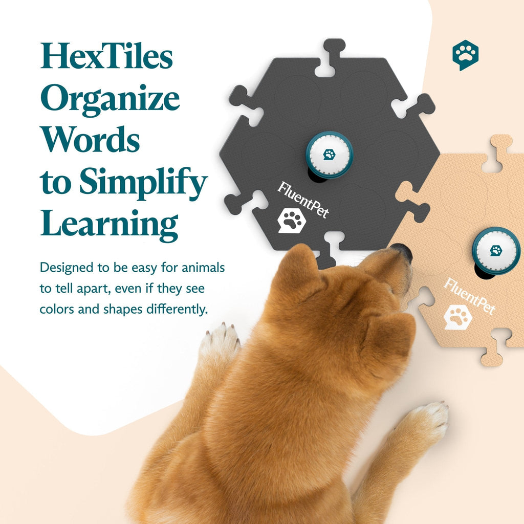 FluentPet Speak Up! Neutral Pet Communication Buttons & HexTiles Starter Kit