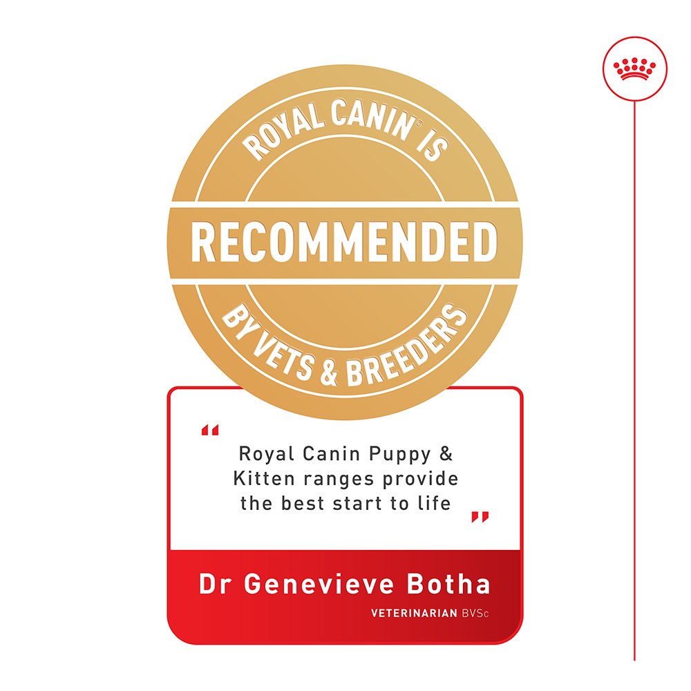 Royal Canin Mini Puppy Dry Food: Immune Support, Digestive Aid, Small Kibble