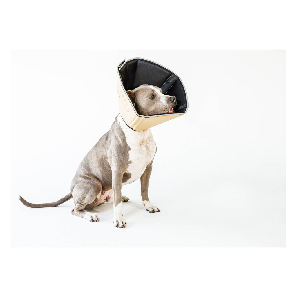 All Four Paws XL Soft Comfy Cone: Gentle Pet Recovery E-Collar for Healing