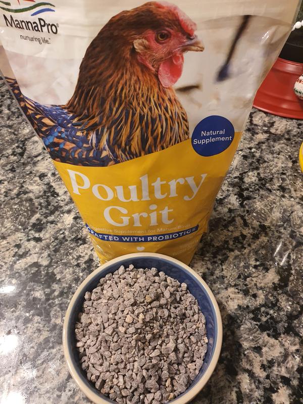 Manna Pro Digestive Health Poultry Grit with Probiotics for Chickens, 5-lb Bag