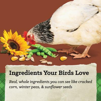 Nutrena NatureWise Harvest Blend 18% Protein Layer Chicken Feed for Optimal Egg Production